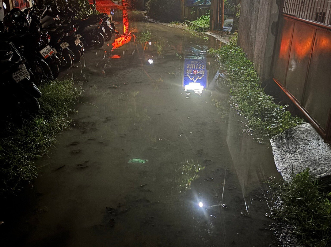 阿罗那瑞士度假酒店主图