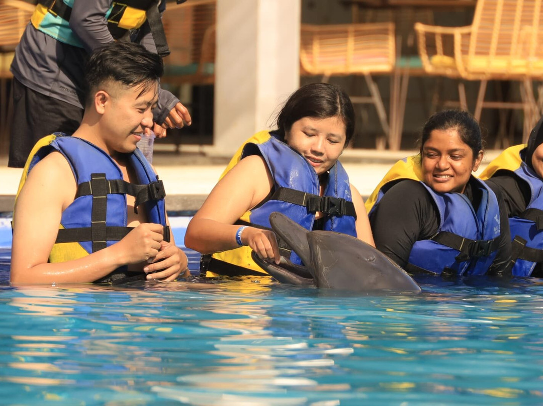 Bali Exotic Marine Park-登巴萨必去景点