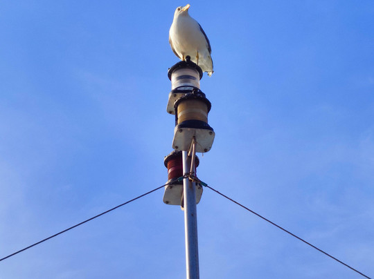 Capitán Nemo-圣安东尼德波特曼尼必去景点