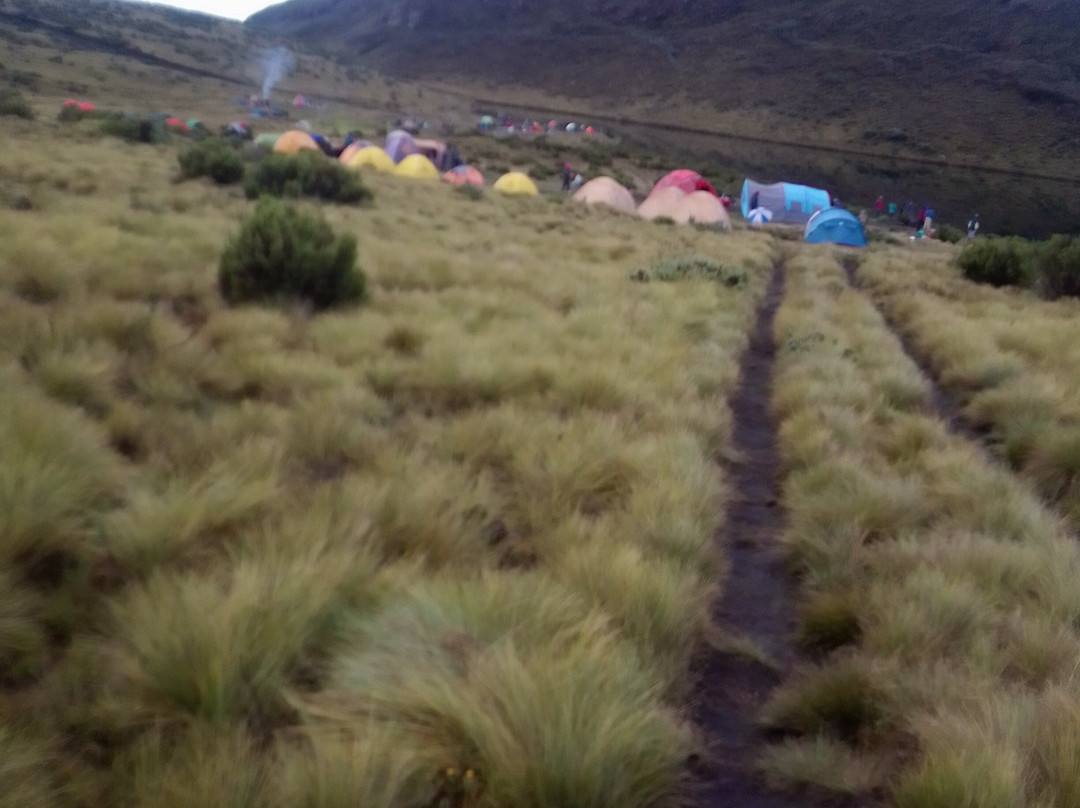 Jose Safaris & Adventures-南由基必去景点