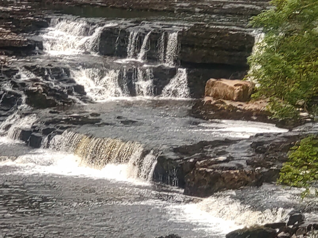 Fox & Hounds Inn主图