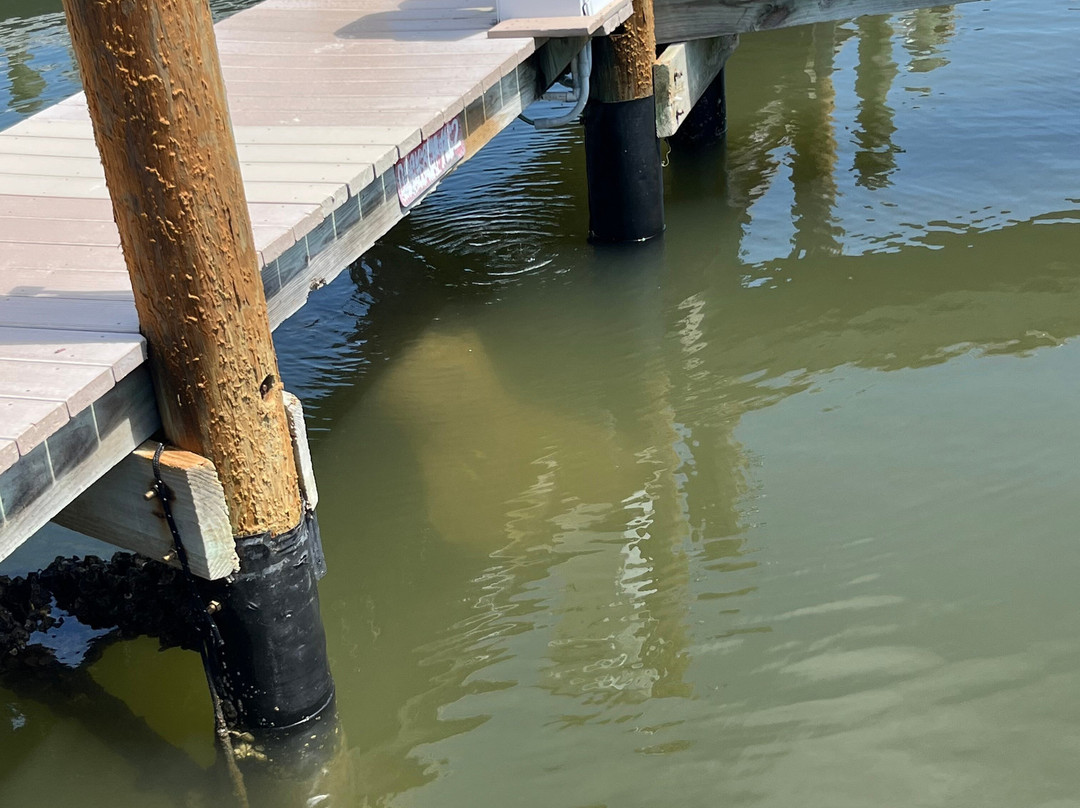 Boats And Fun-North Captiva Island必去景点