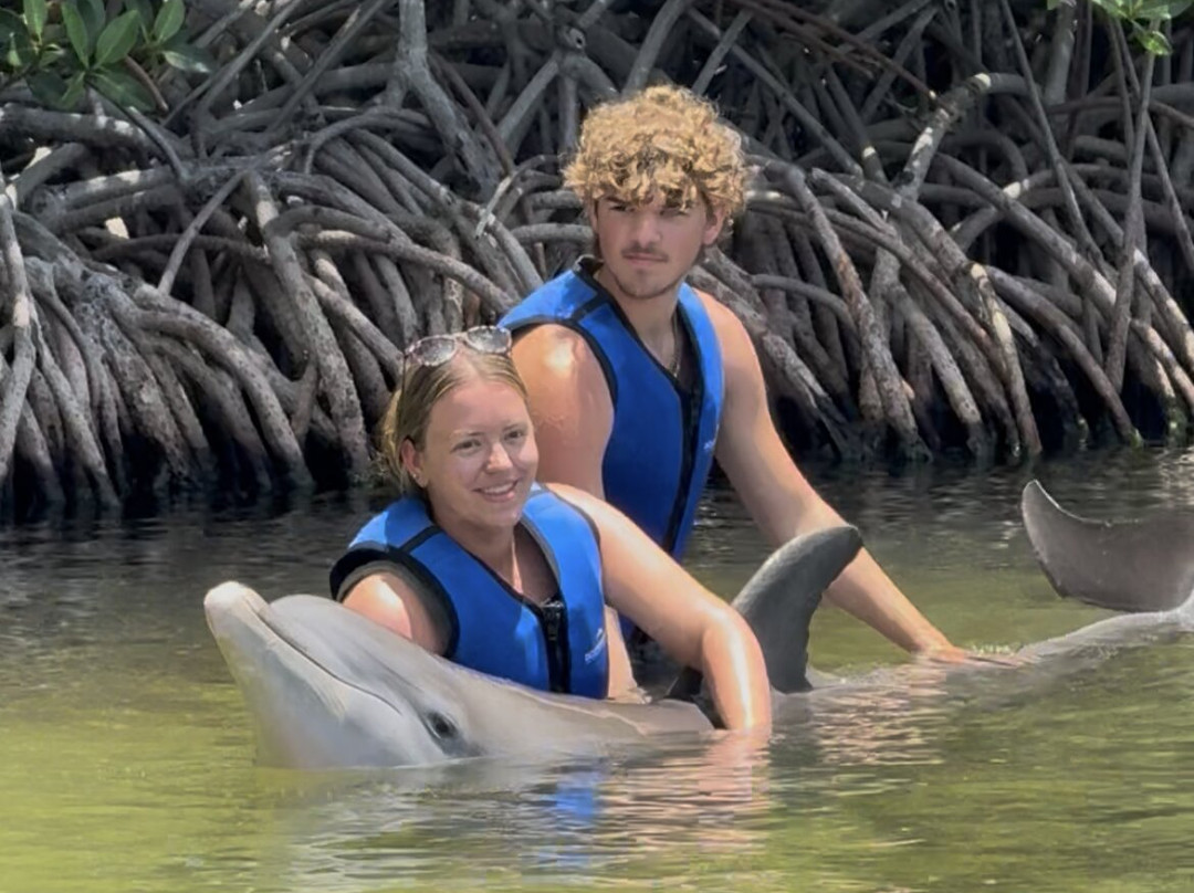 海豚商店-基拉戈-拉哥岛必去景点