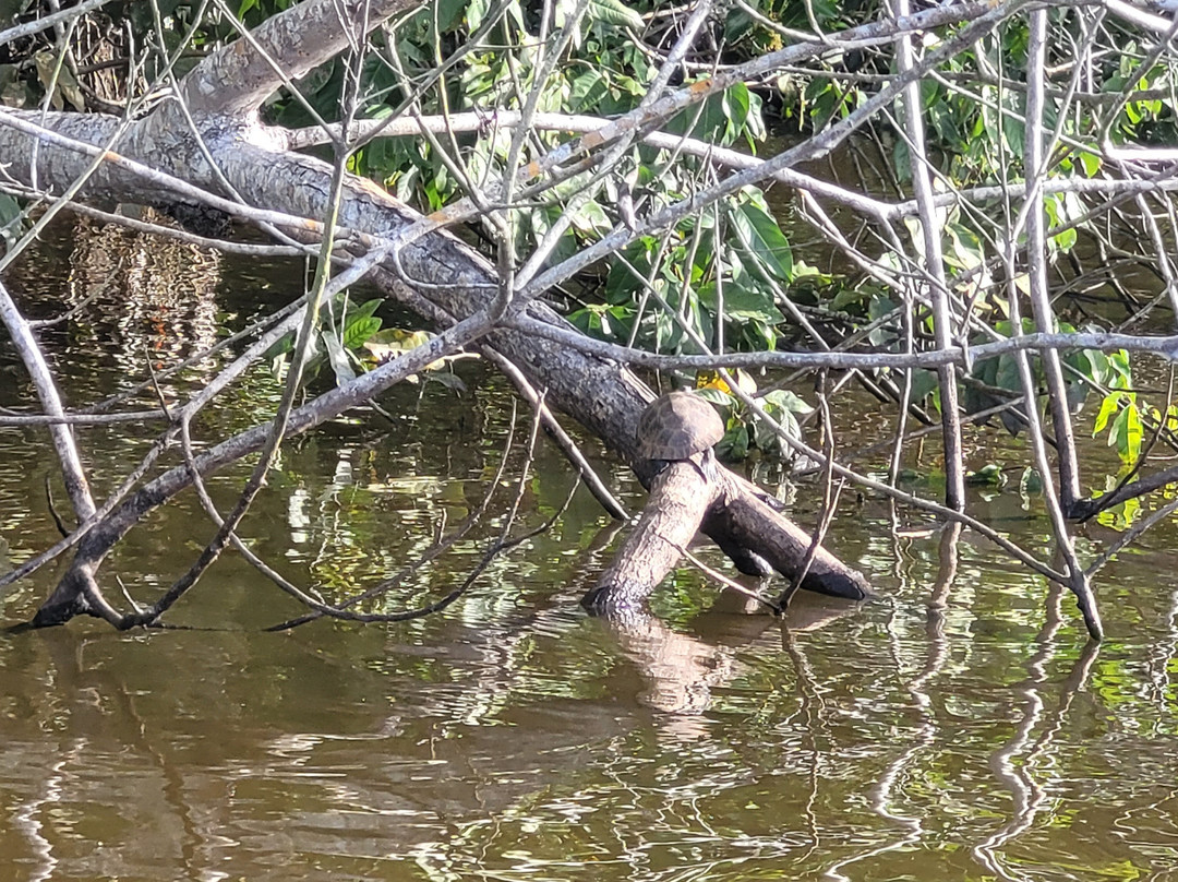 Lago Sandoval-Tambopata National Reserve必去景点