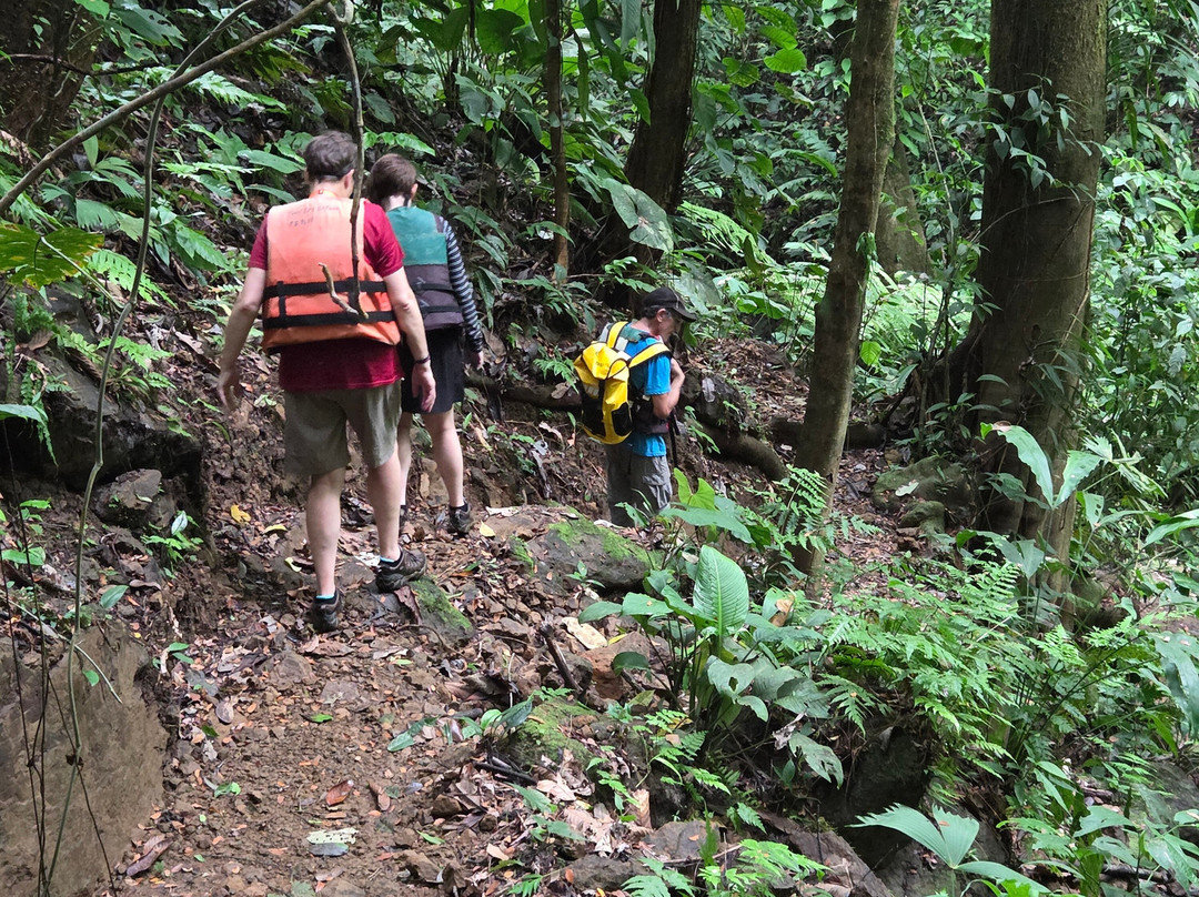 Pacheco Tours-德雷克湾必去景点