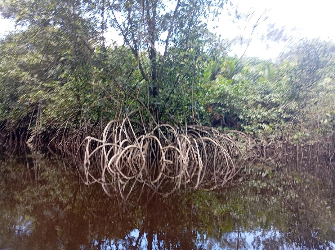 Crique Gabriel-卡宴必去景点