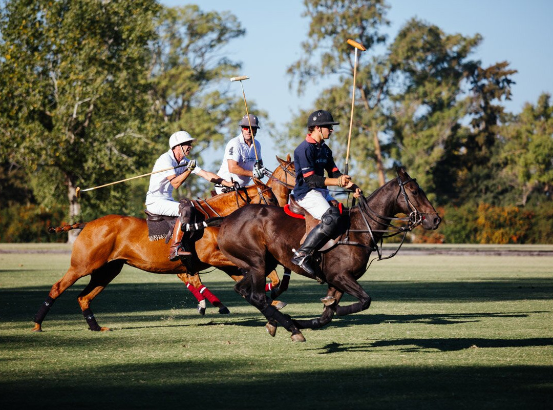 Estancia La Bandada主图