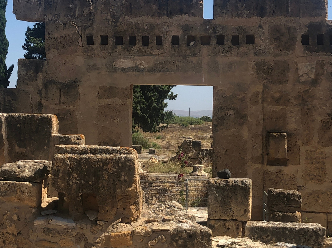 Utica-比塞大必去景点