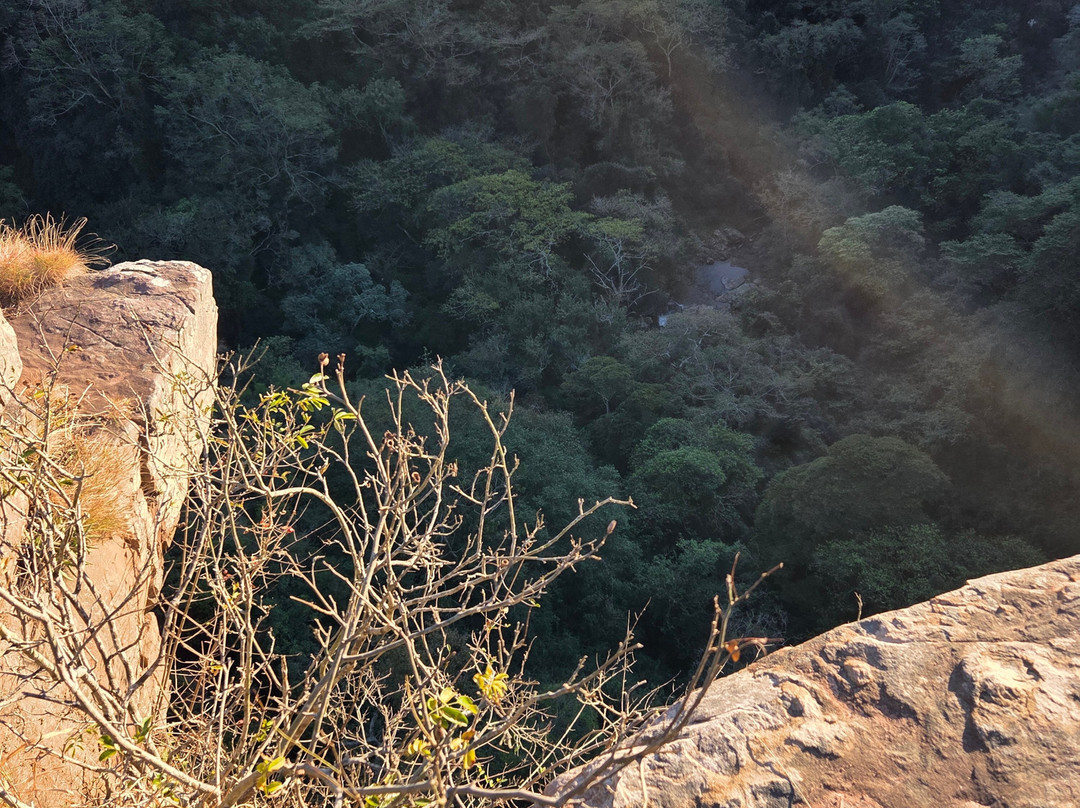 Krantzkloof Nature Reserve-派恩敦必去景点