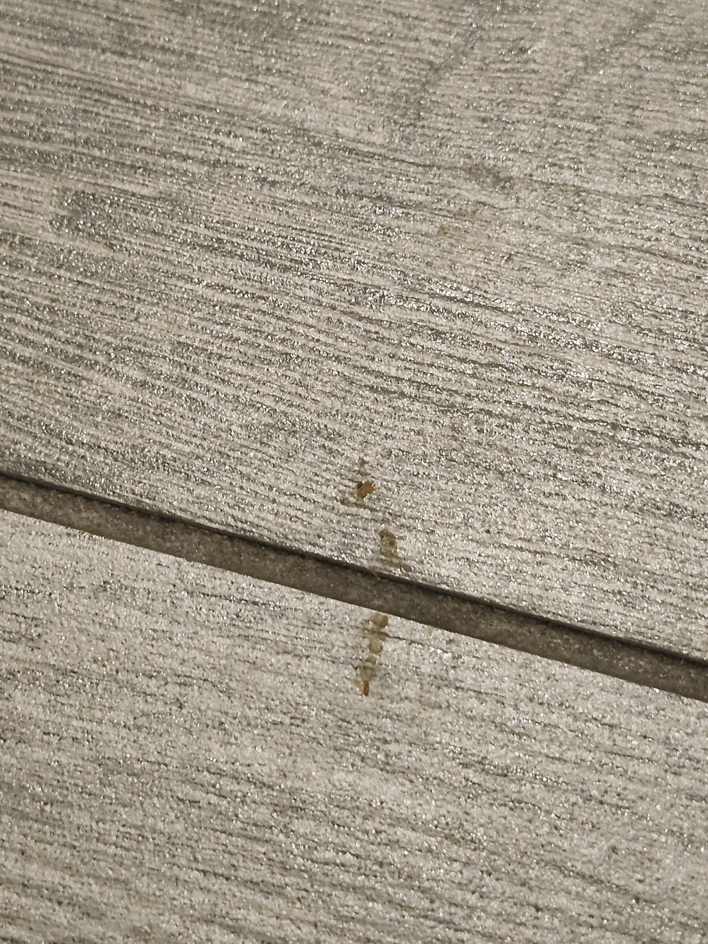 Best Western Plus Executive Residency Austin - Round Rock-客卧