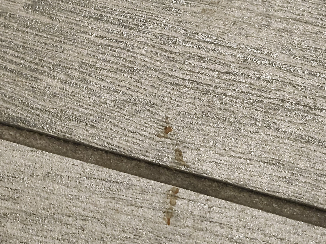 Best Western Plus Executive Residency Austin - Round Rock主图