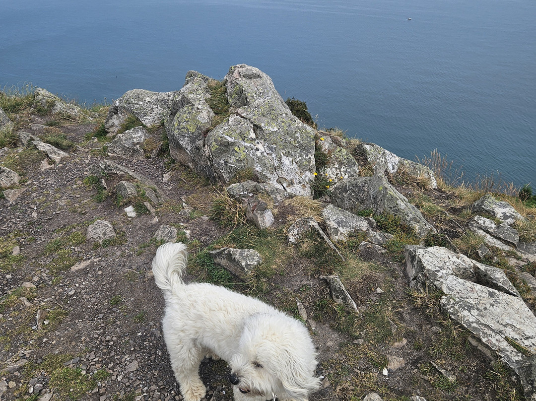 Bray Head Cliff Walk-布瑞必去景点