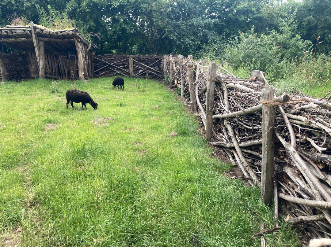 Arche Warder - Zentrum für seltene Nutztierrassen-Warder必去景点