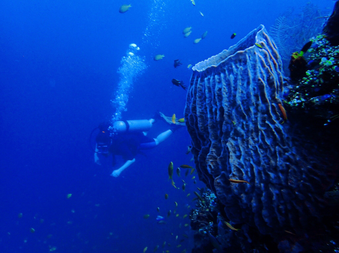 Baliedu Tours and Travel-苏卡瓦堤必去景点