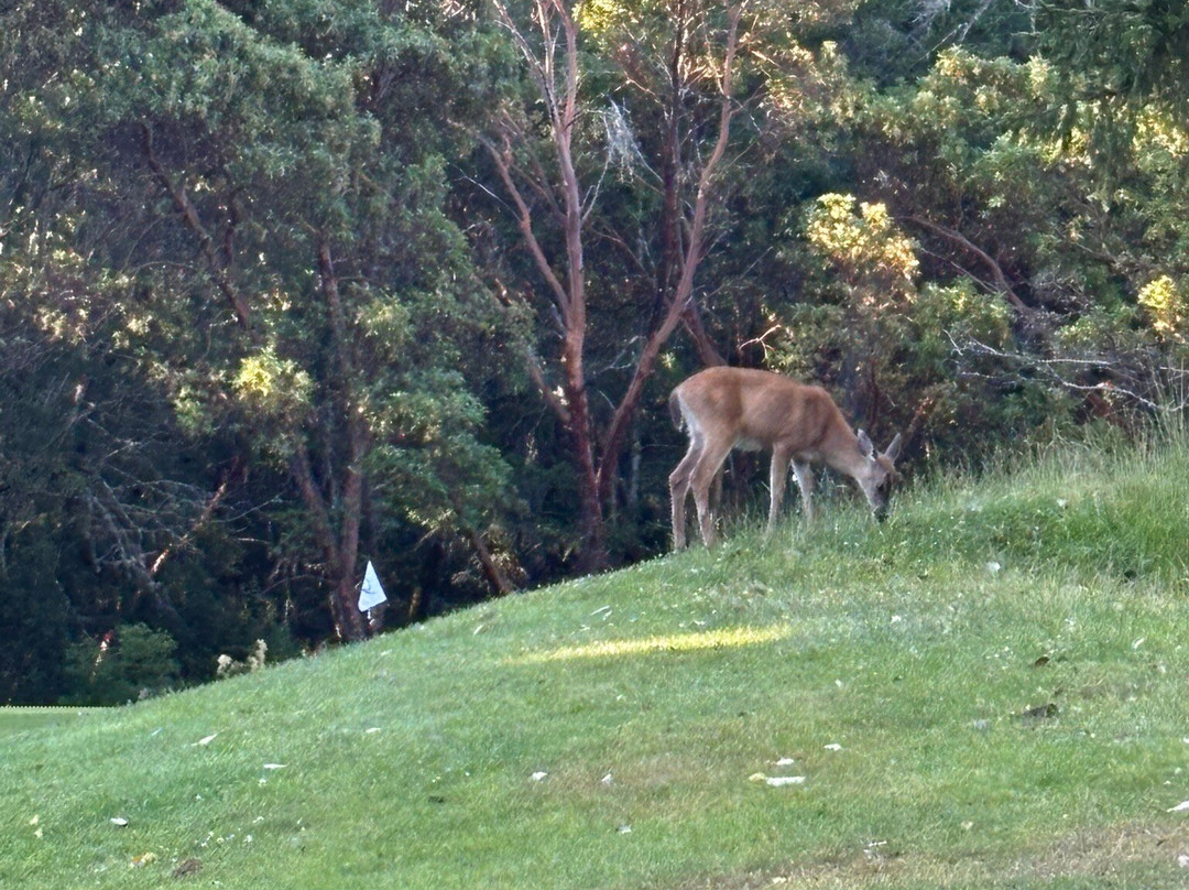 Olympic View Golf Club-兰福德必去景点