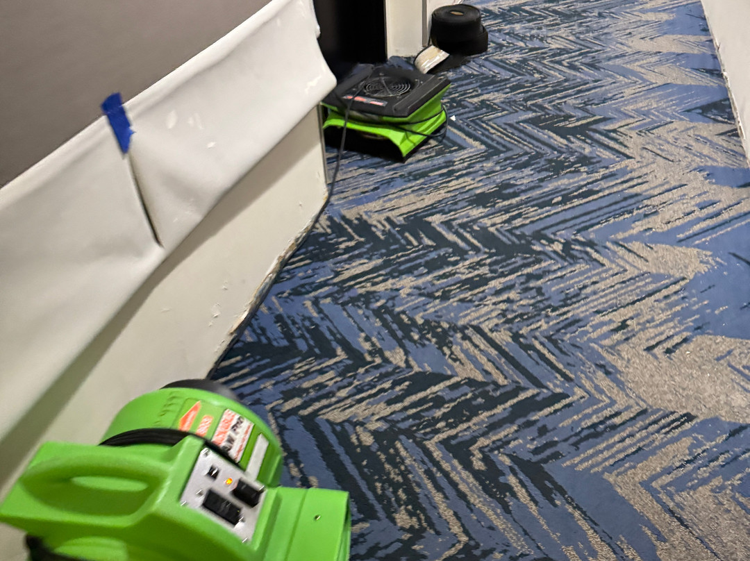 Cambria hotel & suites Minneapolis Maple Grove主图