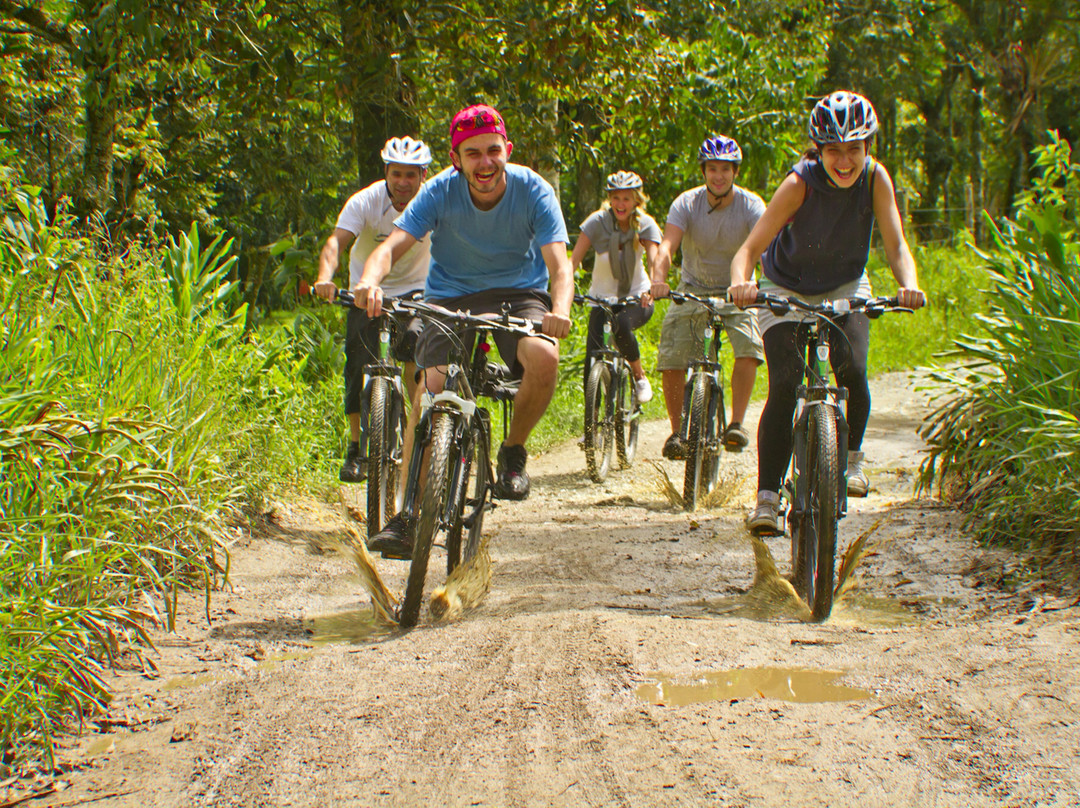 Cocora Trek Salento-萨伦托必去景点
