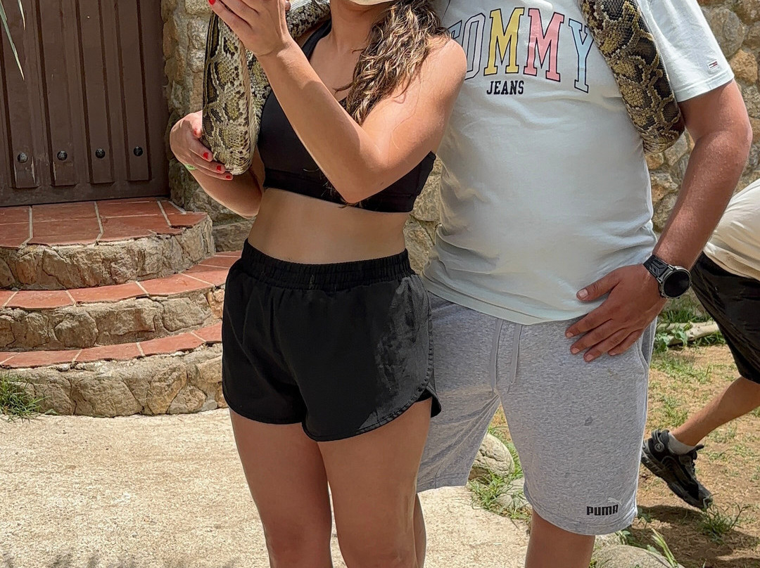 Zoo Safari Fauna Aventura-Hinojosa de San Vicente必去景点