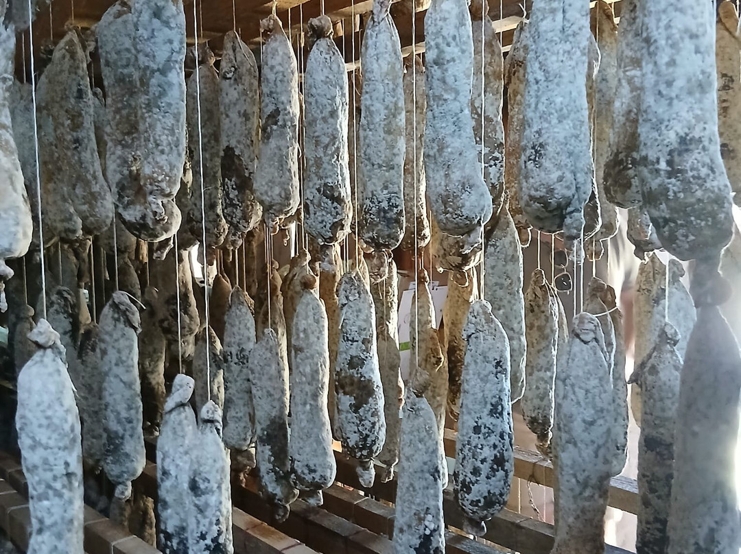 L'usu Corsu-Olivese必去景点