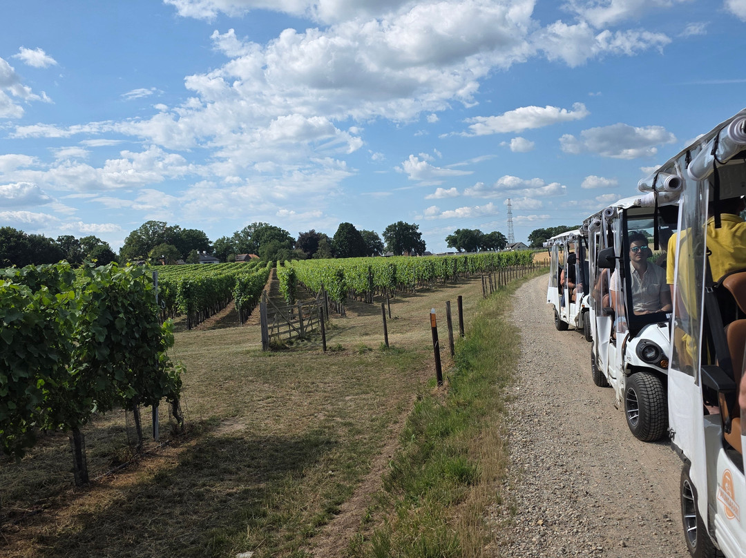 Wijnsafari In De Maasvallei-Kinrooi必去景点