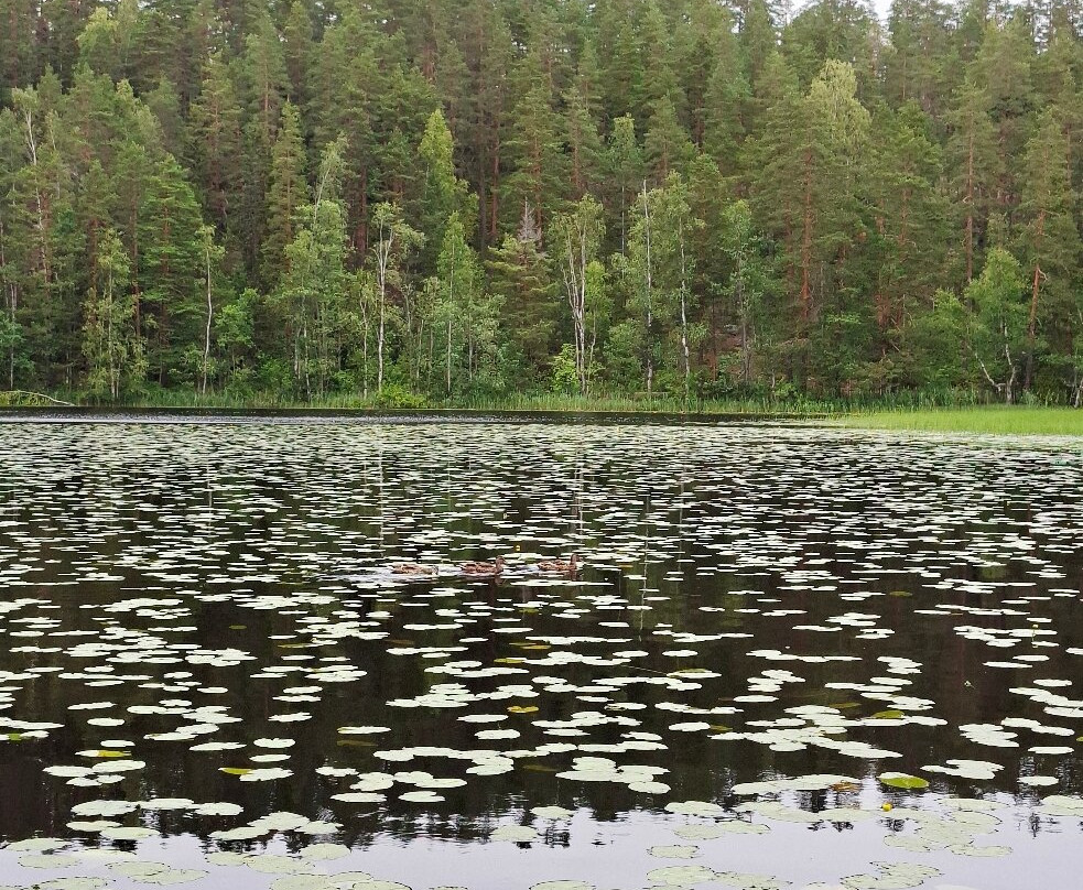 Nuuksio National Park-埃斯波必去景点