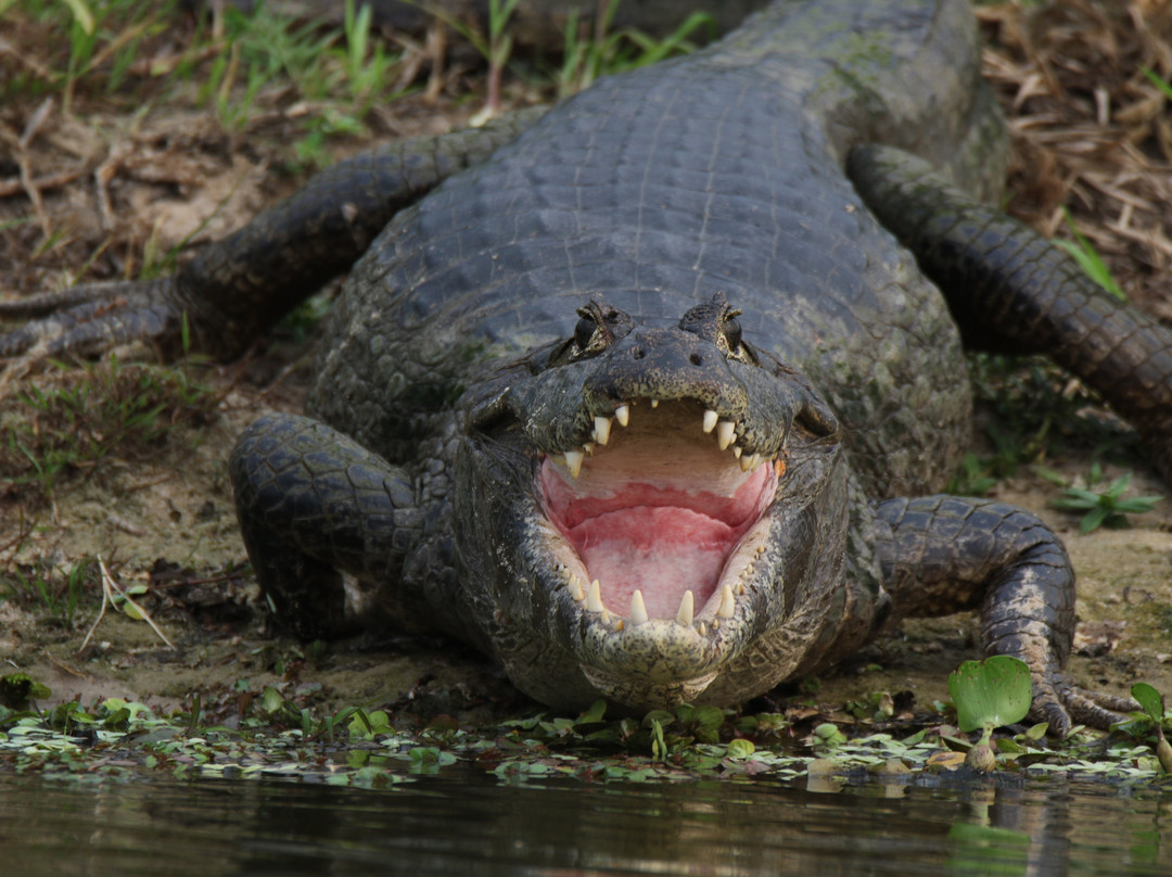 Hotel Baiazinha主图