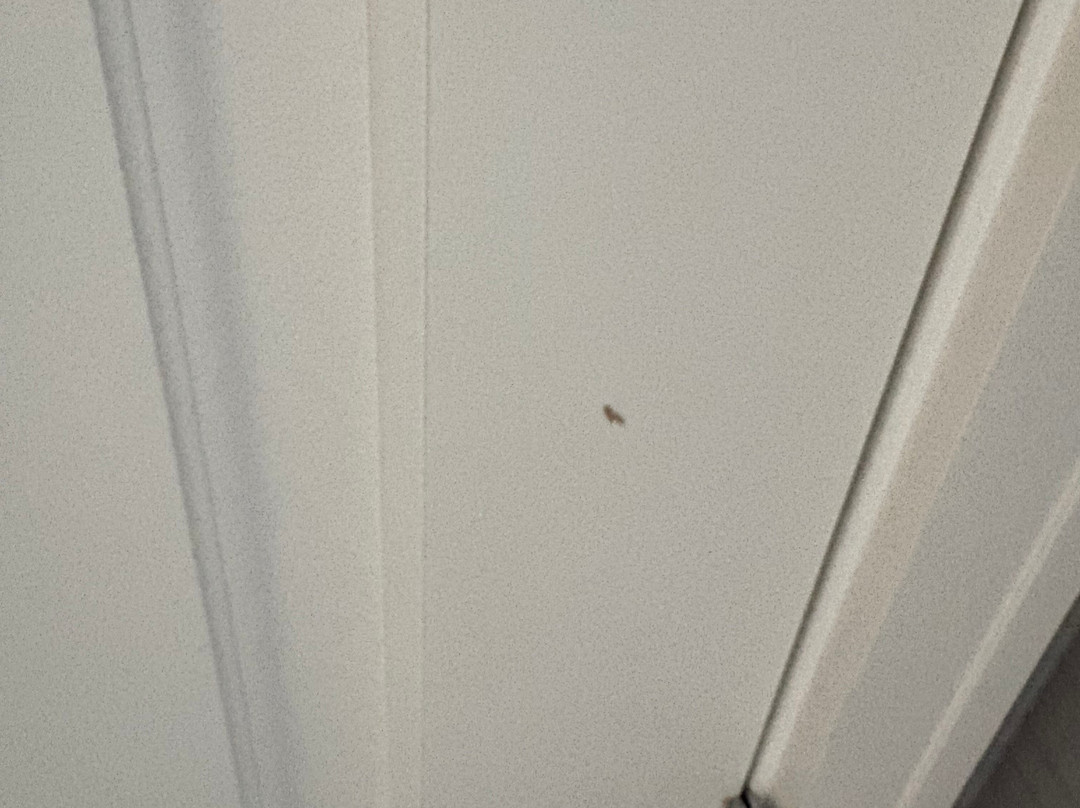 拉斯维加斯枫丹白露 - 米其林星耀奖酒店主图