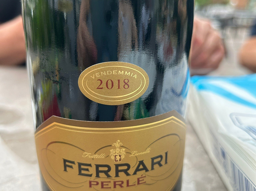 Albertone Il Burbero主图