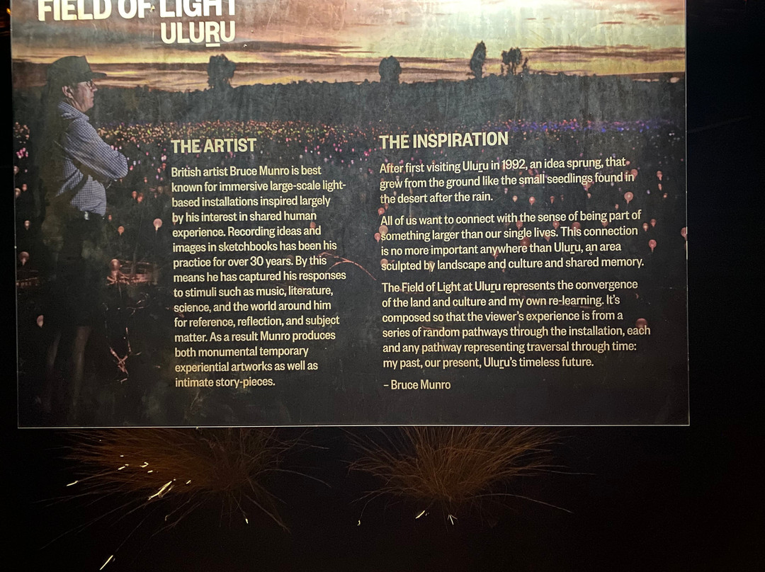 Field of Light-乌鲁鲁-卡塔丘塔国家公园必去景点