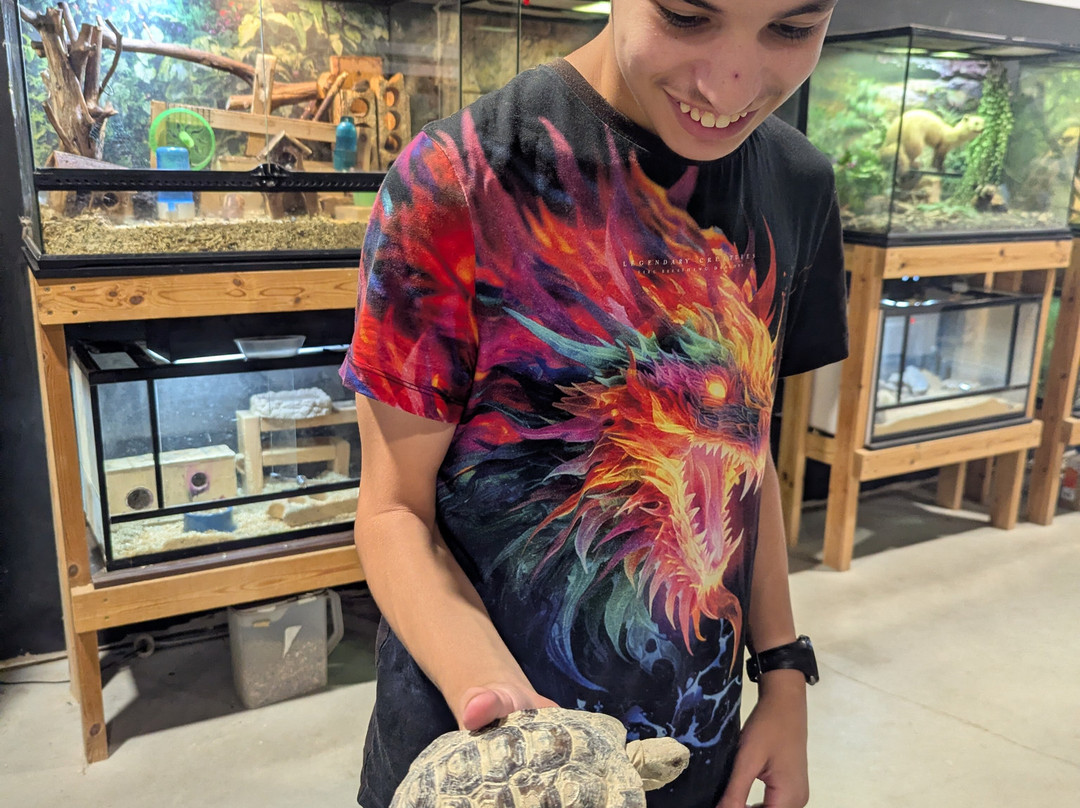 The Biblical Museum of Natural History-Beit Shemesh必去景点