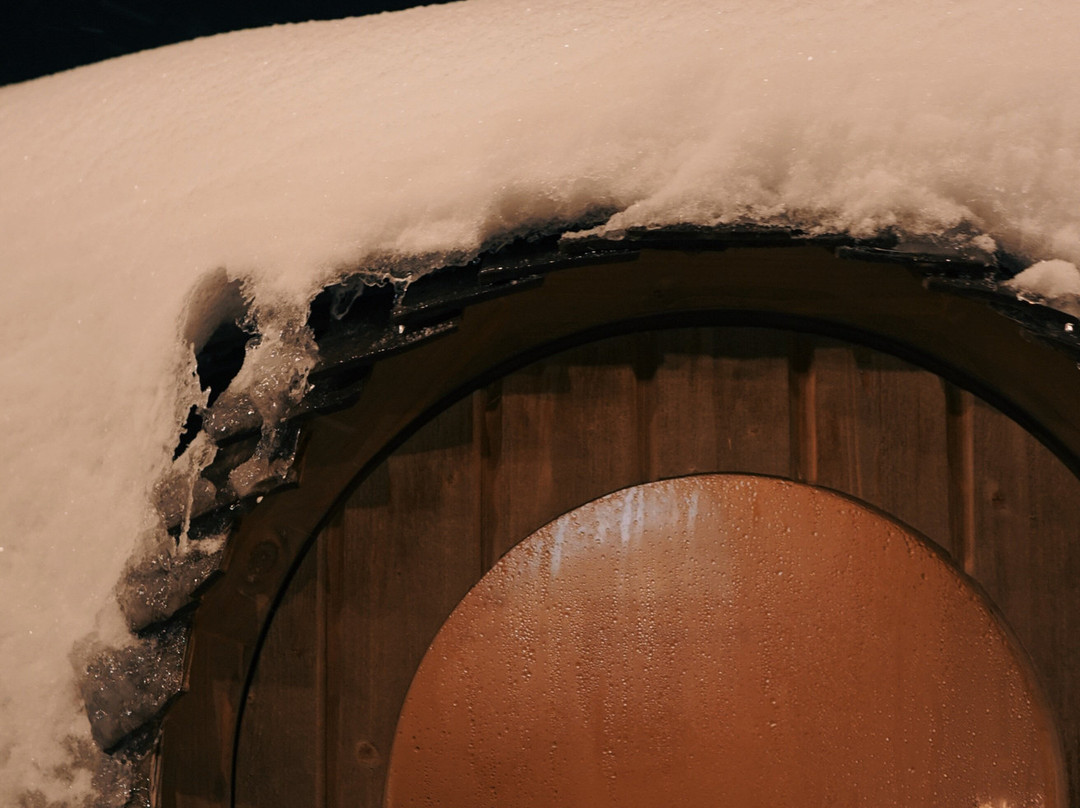 Ski Lodge Engelberg主图