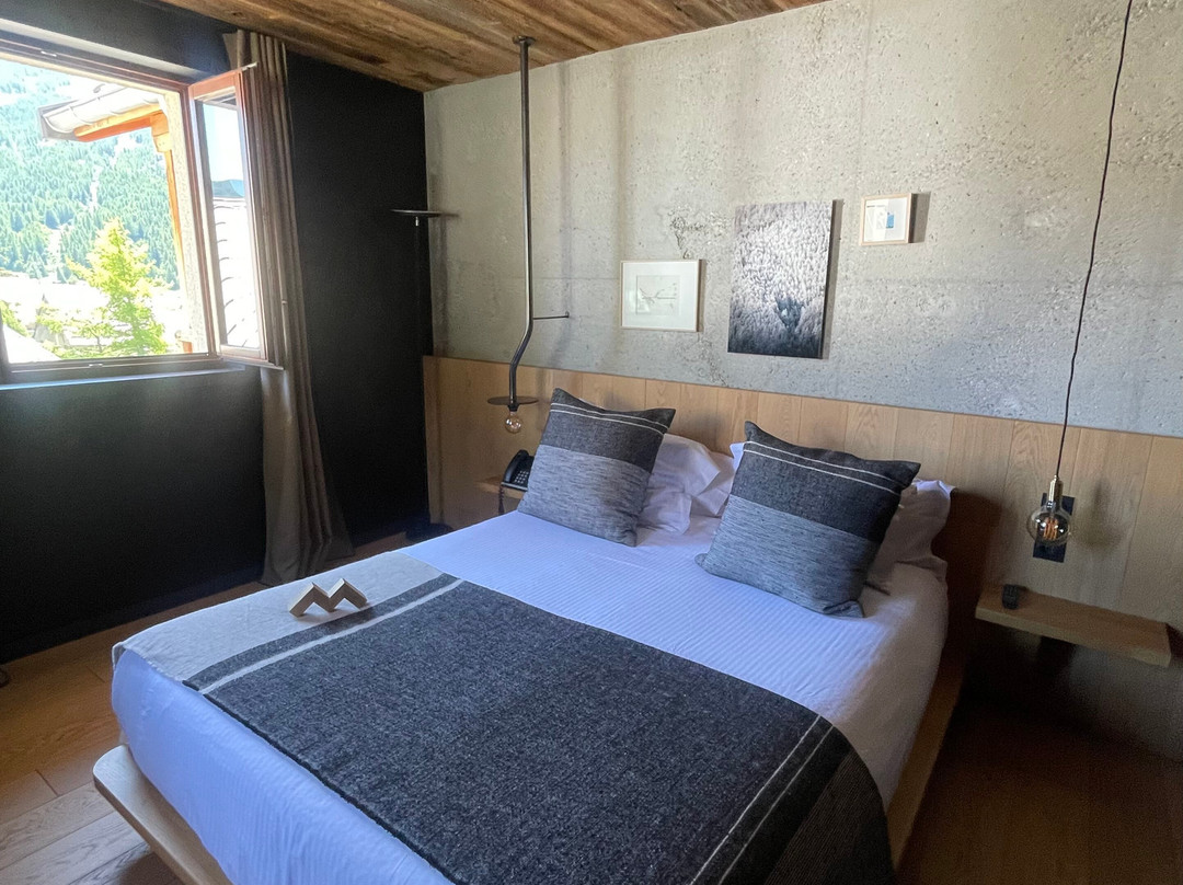 Hôtel Le Monetier主图
