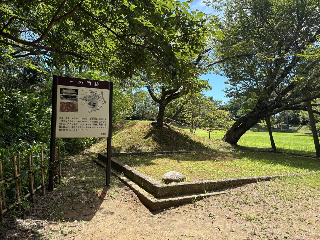 Sakura Castle Site Park-佐仓市必去景点