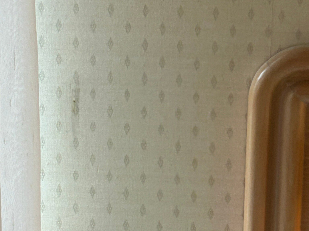 Rodeway Inn Fallsview主图