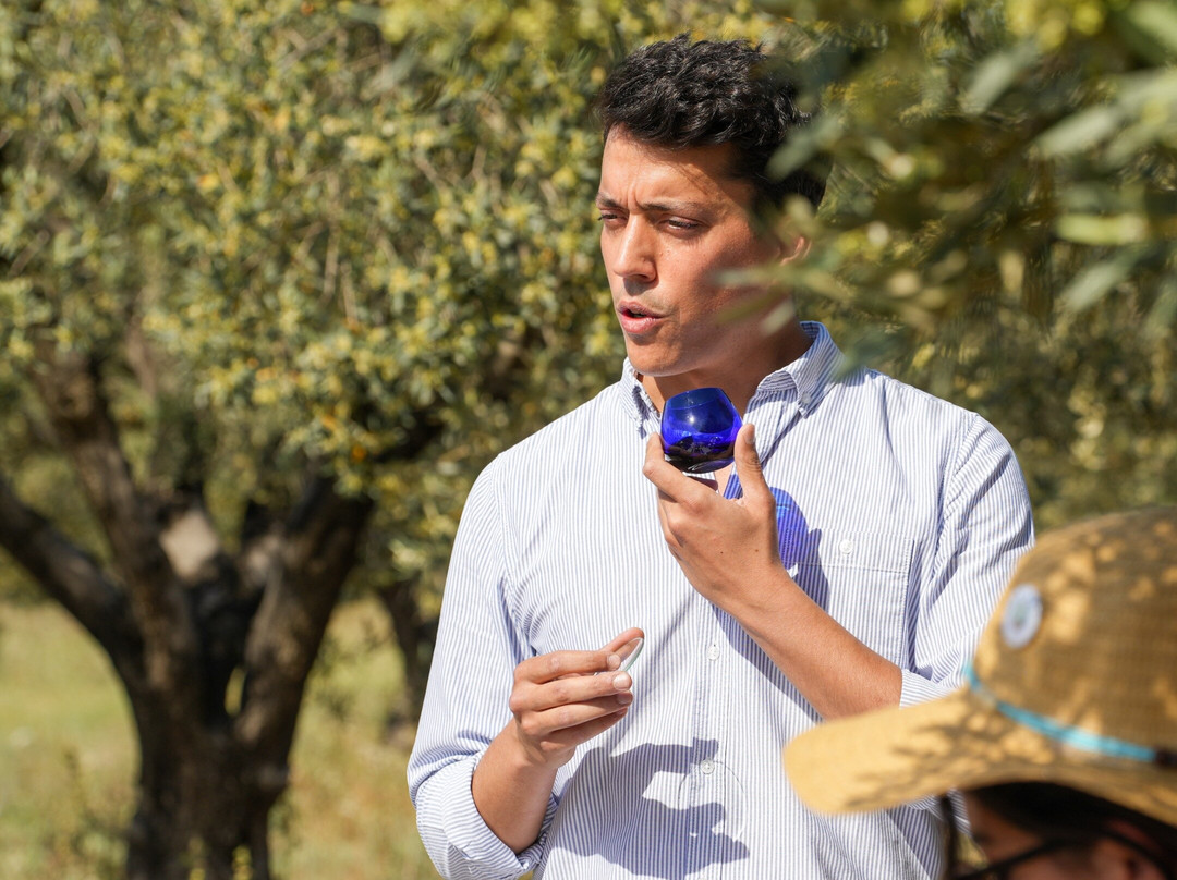 SYSTASIS Olive oil tasting