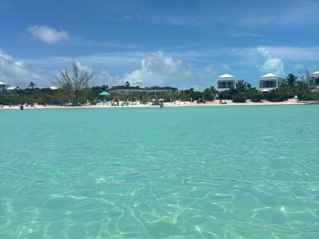 Taylor Bay Beach-普罗维登西亚莱斯必去景点