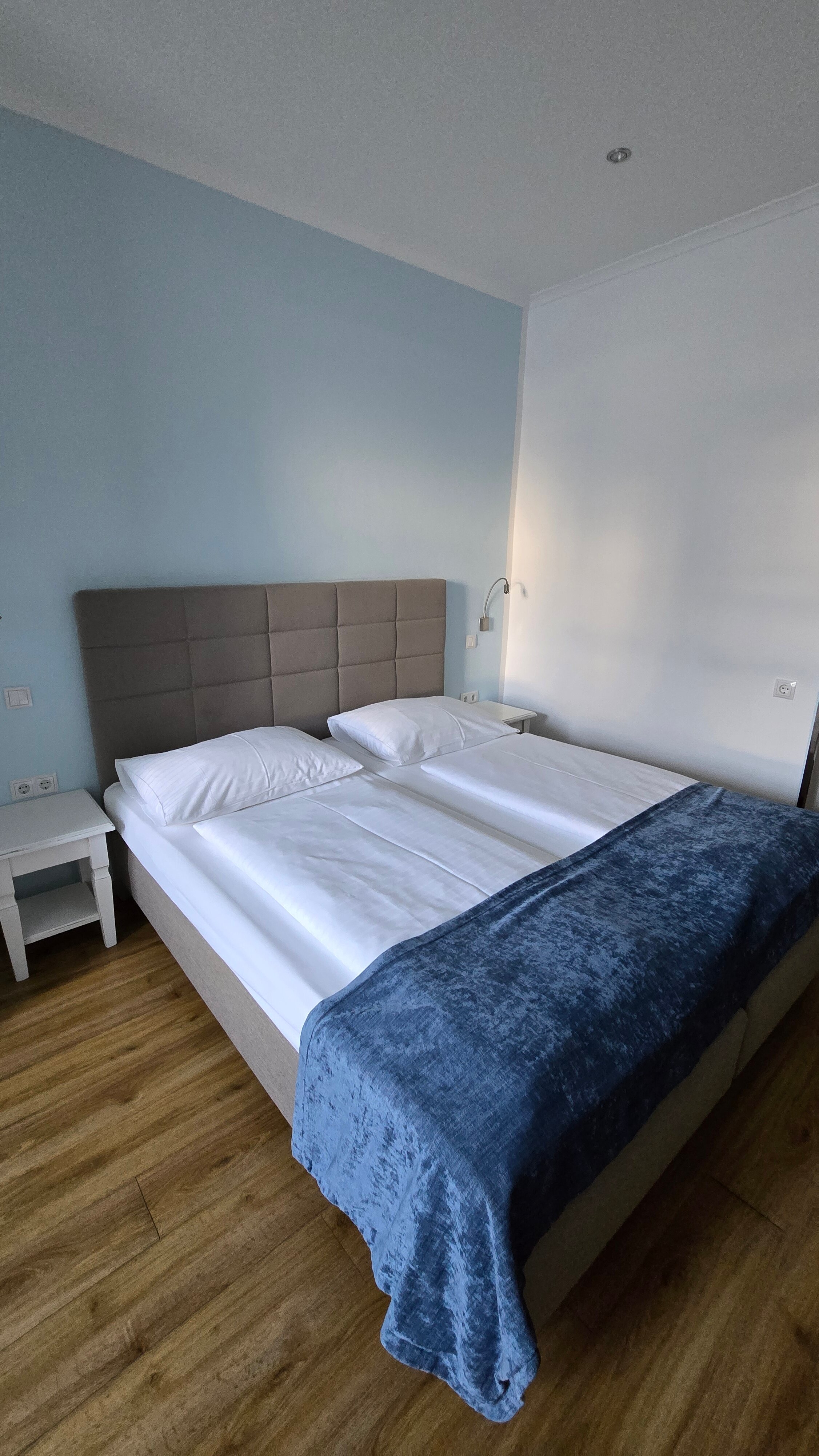 菩提树大道酒店-客卧