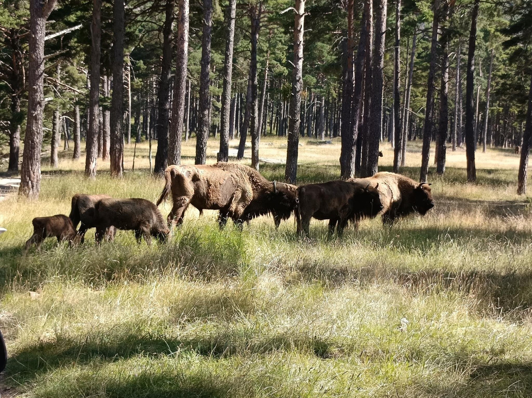 Reserve Biologique des Monts d'Azur-Thorenc必去景点