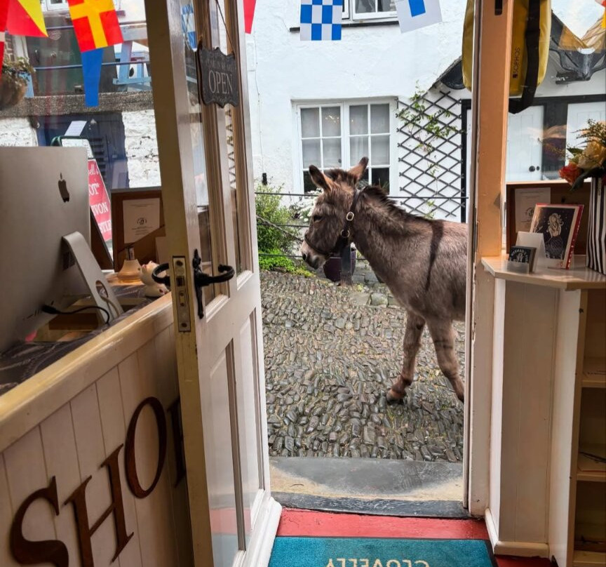 The Mermaid's Purse, Clovelly-Clovelly必去景点