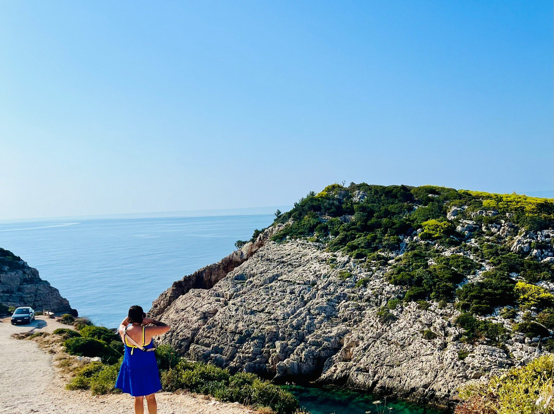 Olive Tree-扎金索斯必去景点