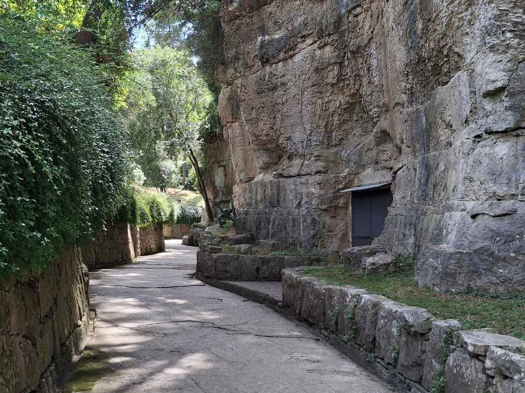 Museum-Brijuni National Park必去景点
