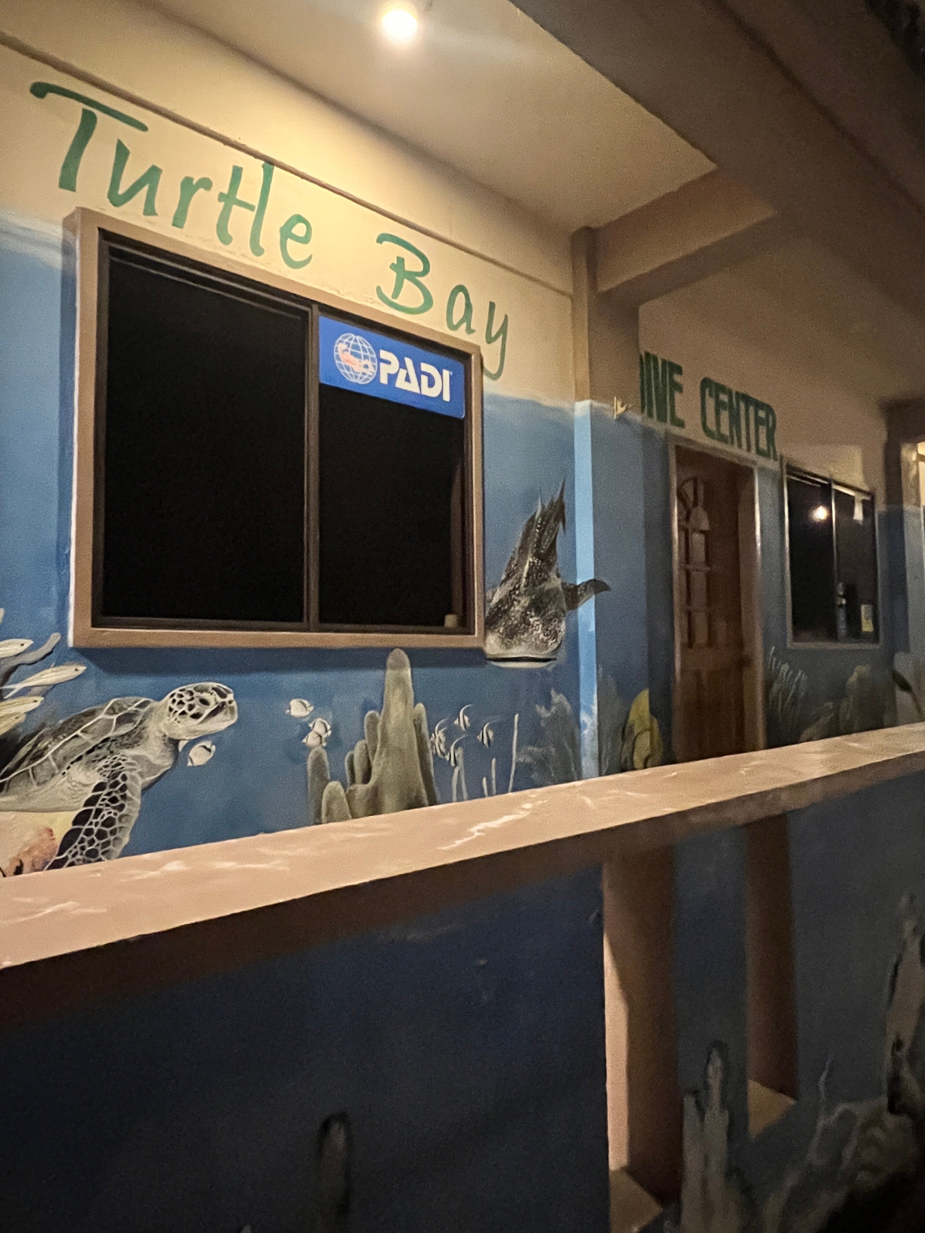 海龟湾潜水度假村-浴室