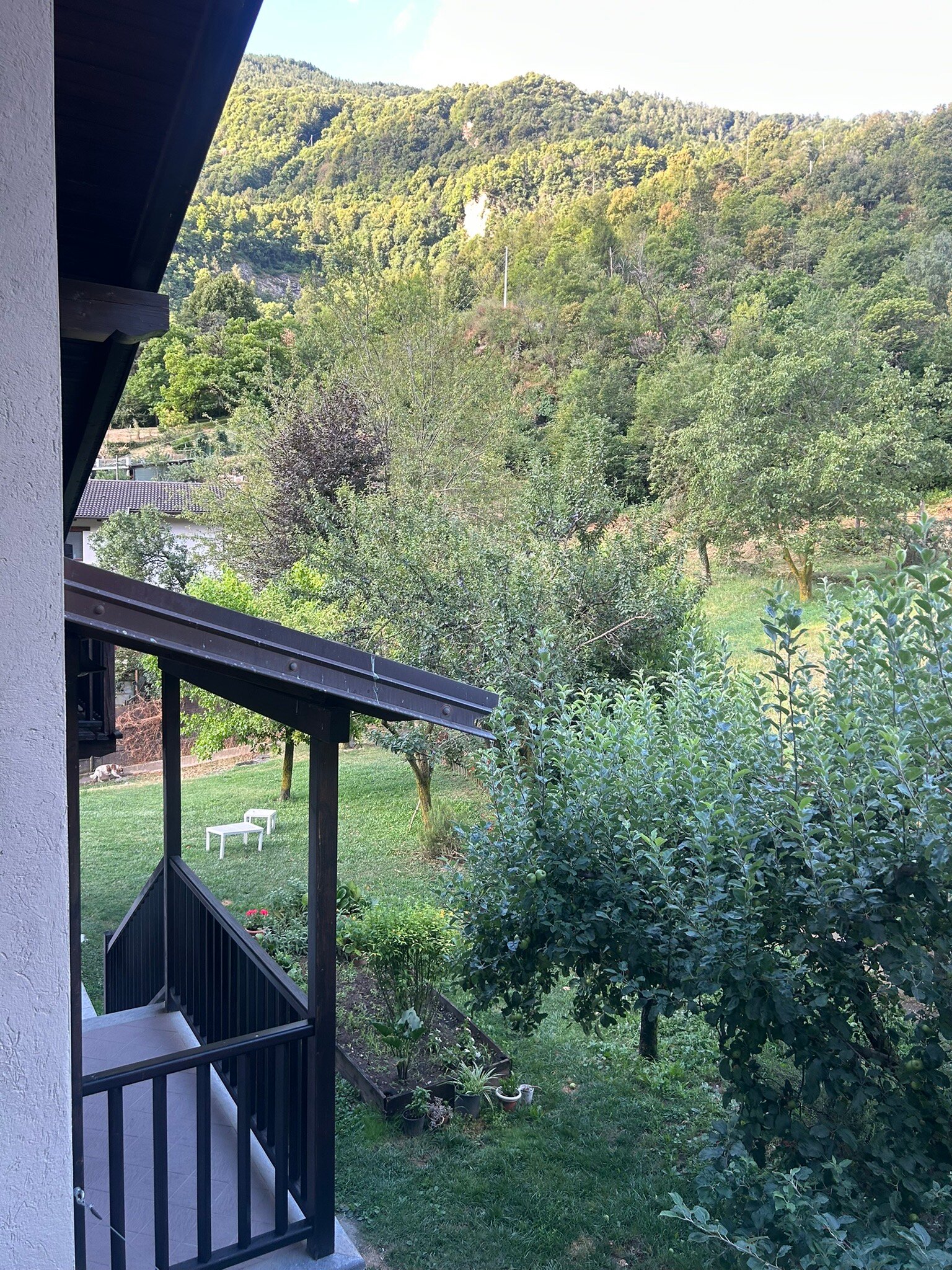 斯科蒂&Co住宿加早餐旅馆-官方