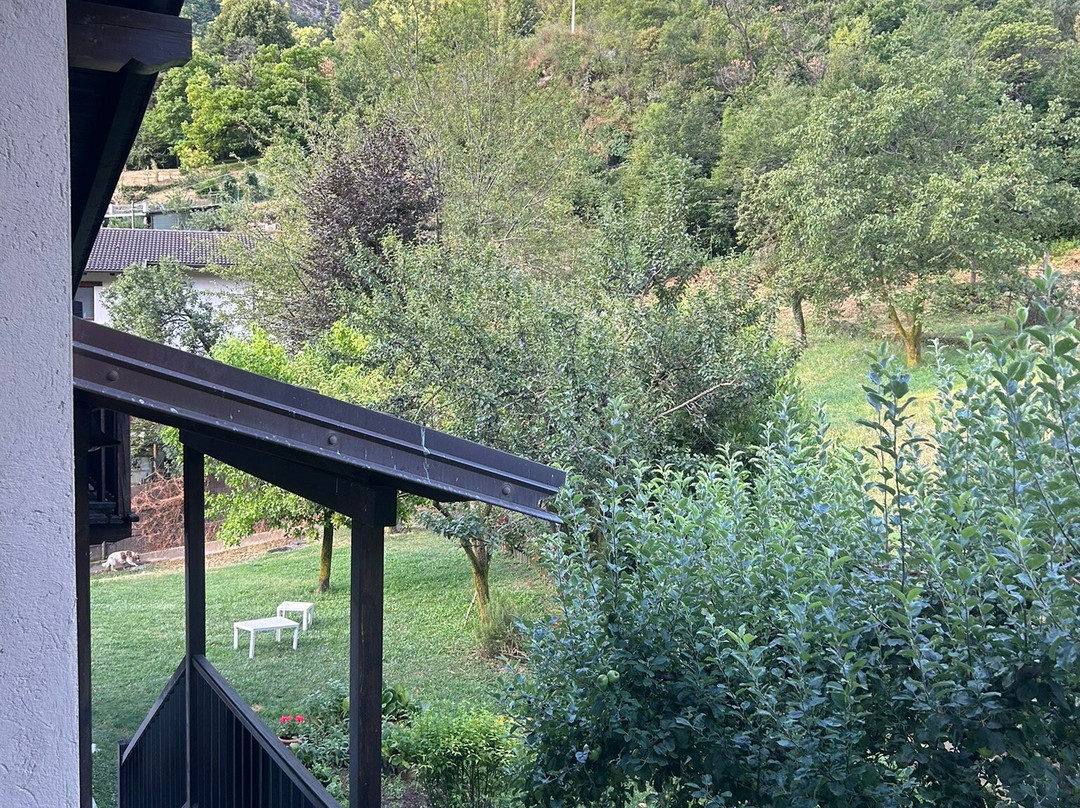 斯科蒂&Co住宿加早餐旅馆主图