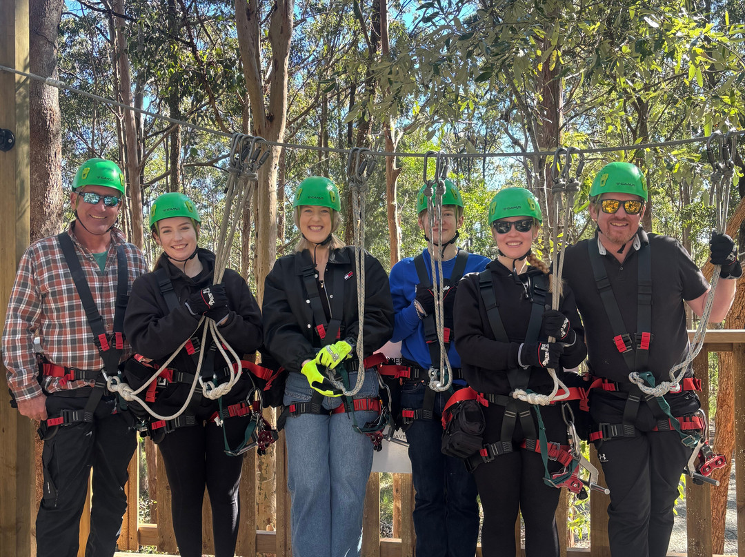 Treetop Challenge - Canyon Flyer-丹百林山必去景点
