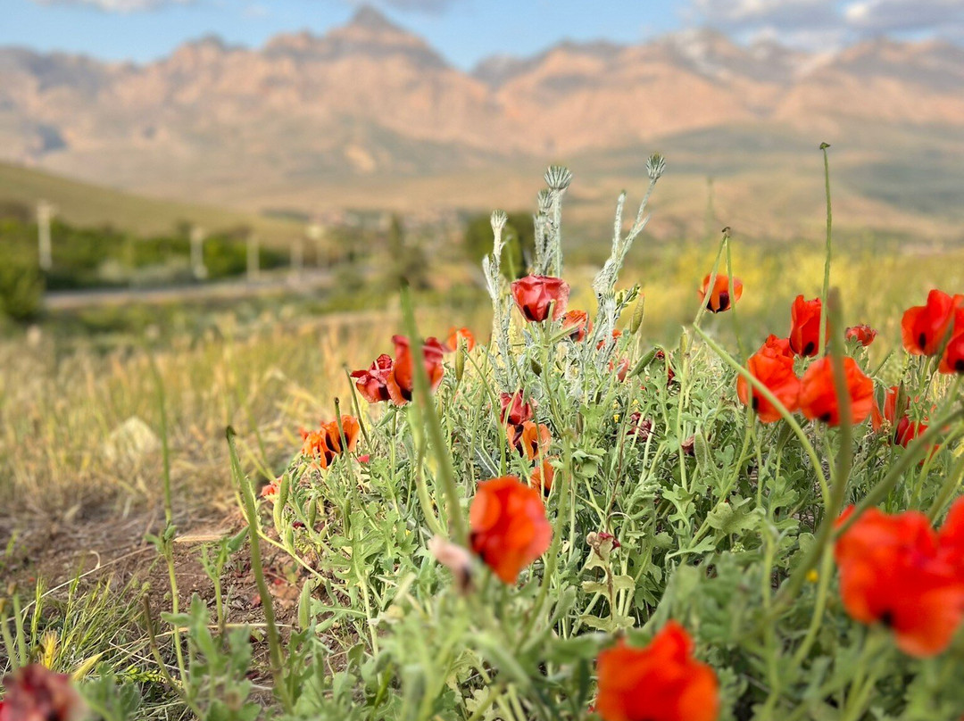 Demirkazık Tepe-Camardi必去景点