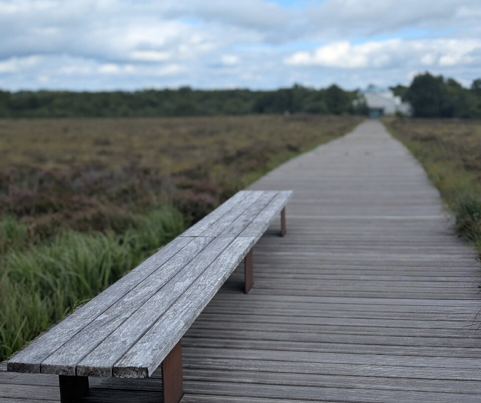 Corlea Trackway Visitor Centre-Keenagh必去景点