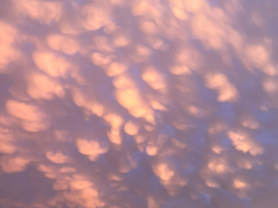 Beaumont Children's Museum-博蒙特必去景点