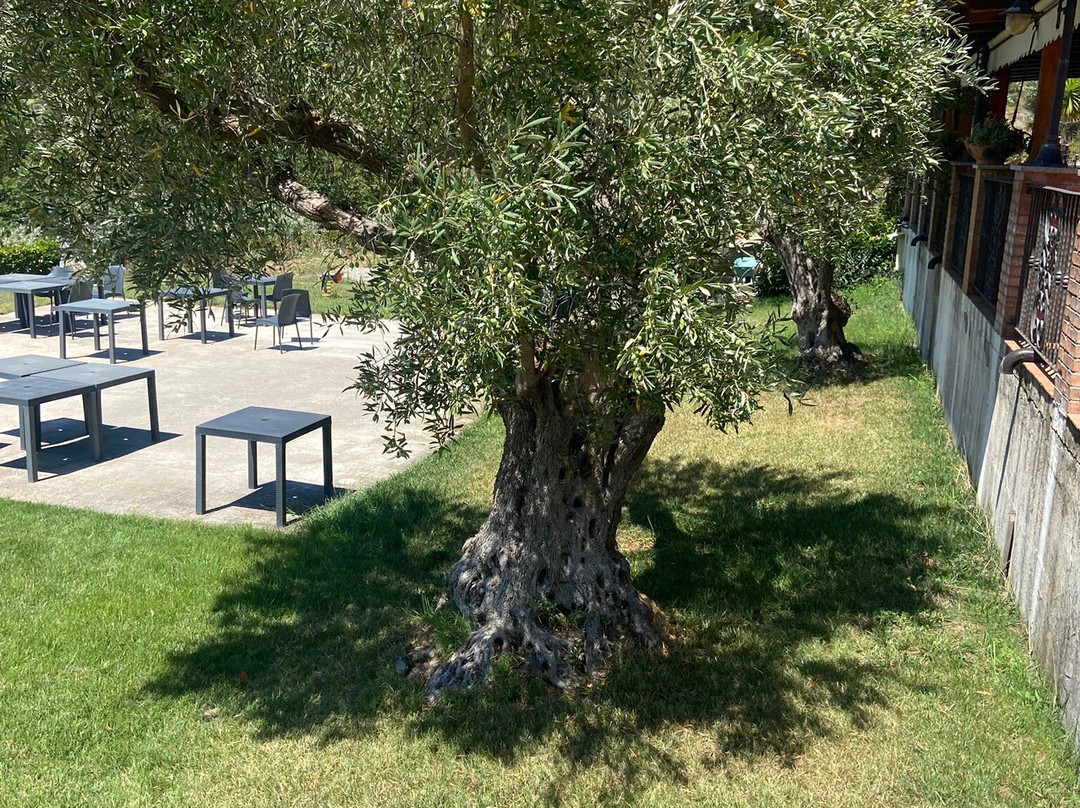 Agriturismo Manfredi主图