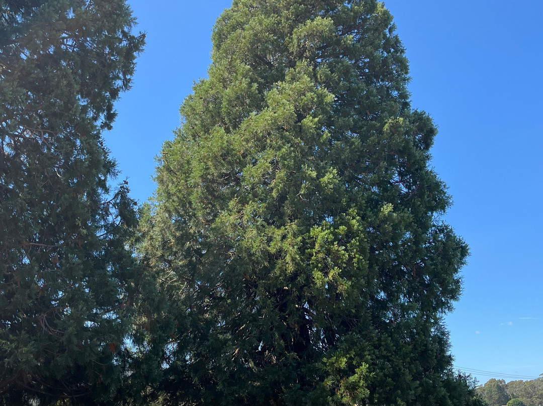 King George V Park-谢菲尔德必去景点